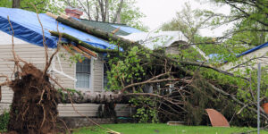 Hurricane Damage