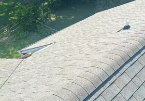 Storm Damage Roof Insurance Claims